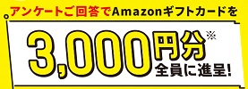 進研ゼミ Amazonギフト券プレゼントキャンペーン