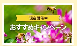 山田養蜂場キャンペーン