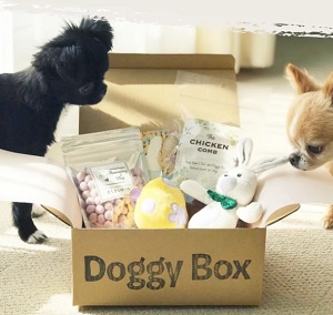 Doggy Box(ドギーボックス)クーポン