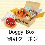 Doggy Box(ドギーボックス)割引クーポン