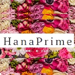 HanaPrime(ハナプライム)クーポンコード・キャンペーン